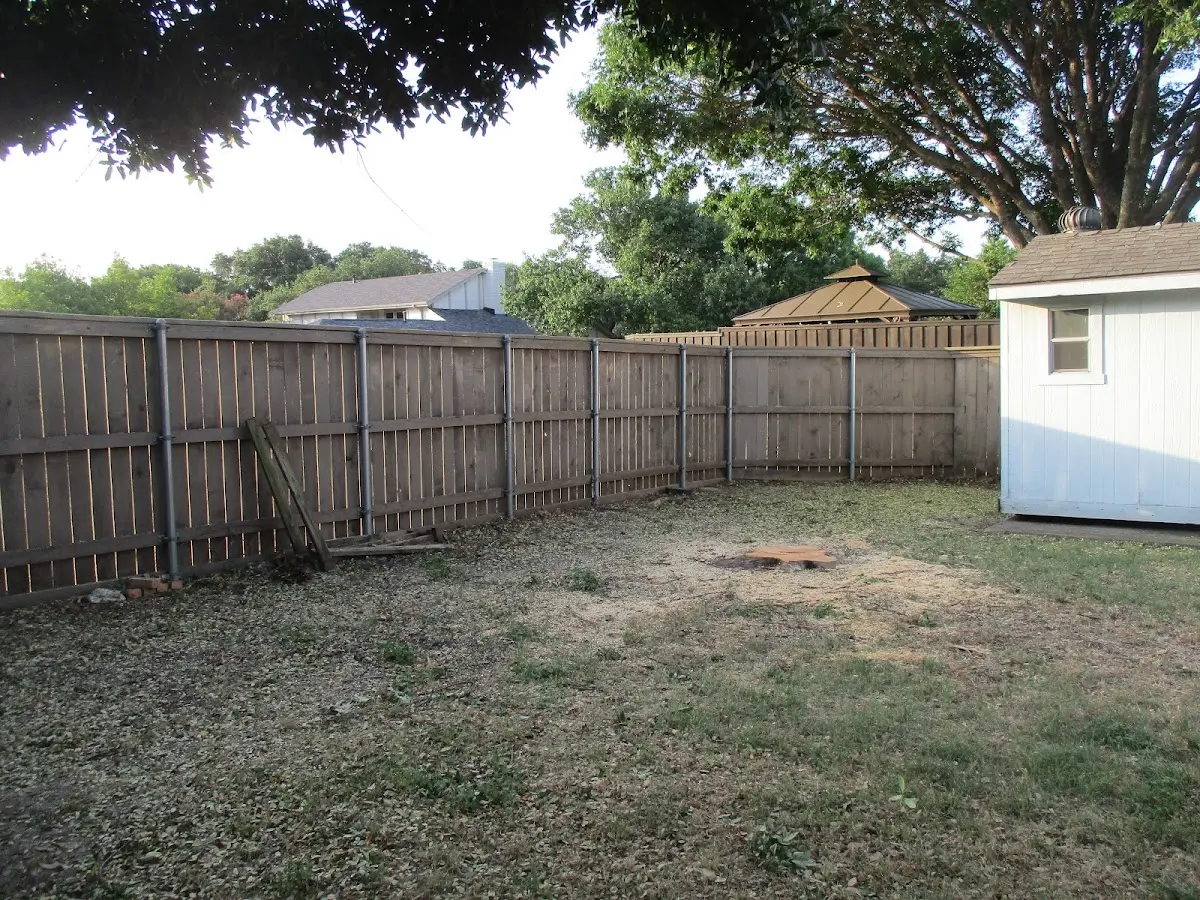 Cleared yard after professional tree removal in Clarkston